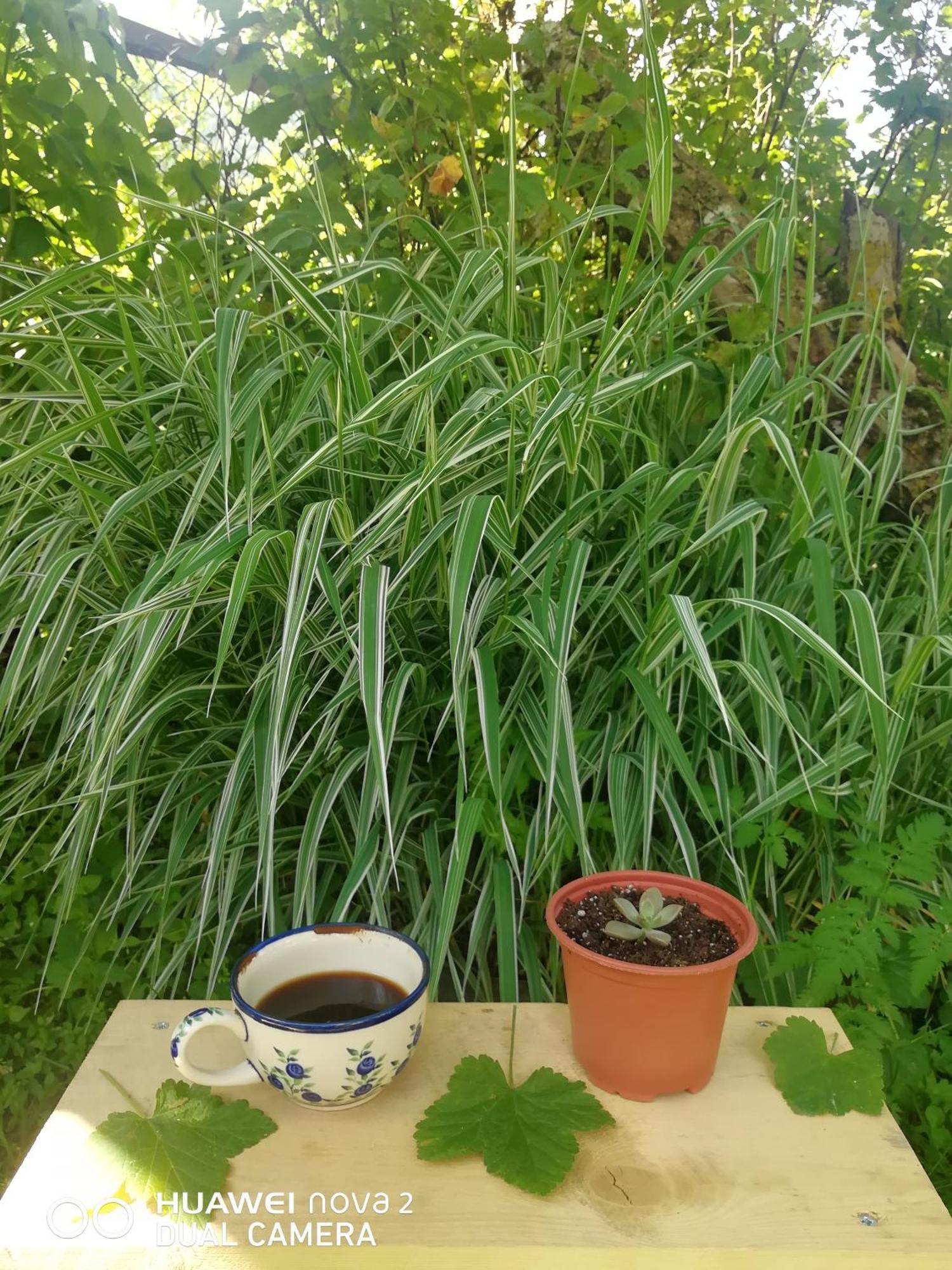 Nora'S Guesthouse Zhabeshi 外观 照片